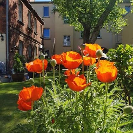 City Appartement Mit Garten, Zentral Und Trotzdem Ruhig Cottbus Esterno foto