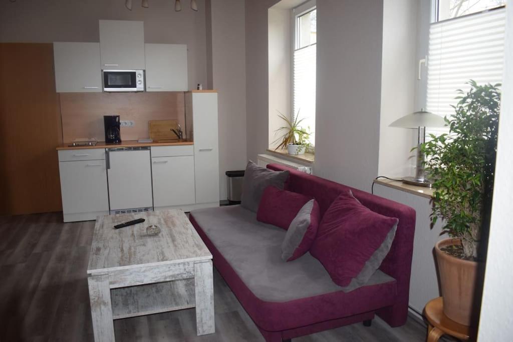 City Appartement Mit Garten, Zentral Und Trotzdem Ruhig Cottbus Esterno foto