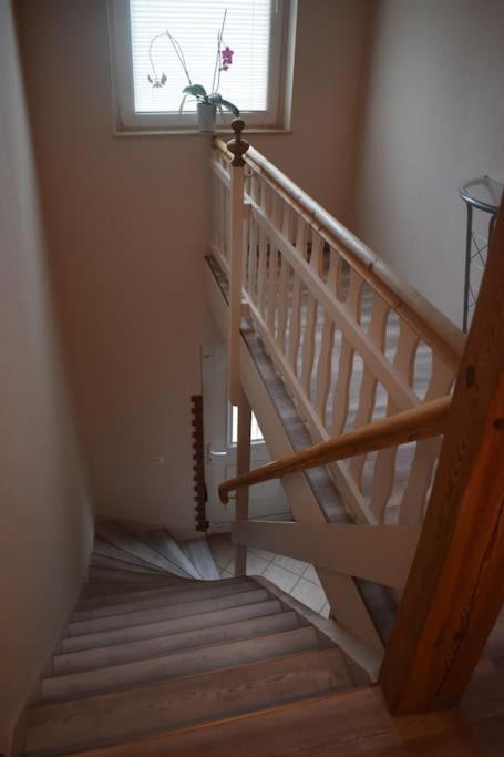 City Appartement Mit Garten, Zentral Und Trotzdem Ruhig Cottbus Esterno foto