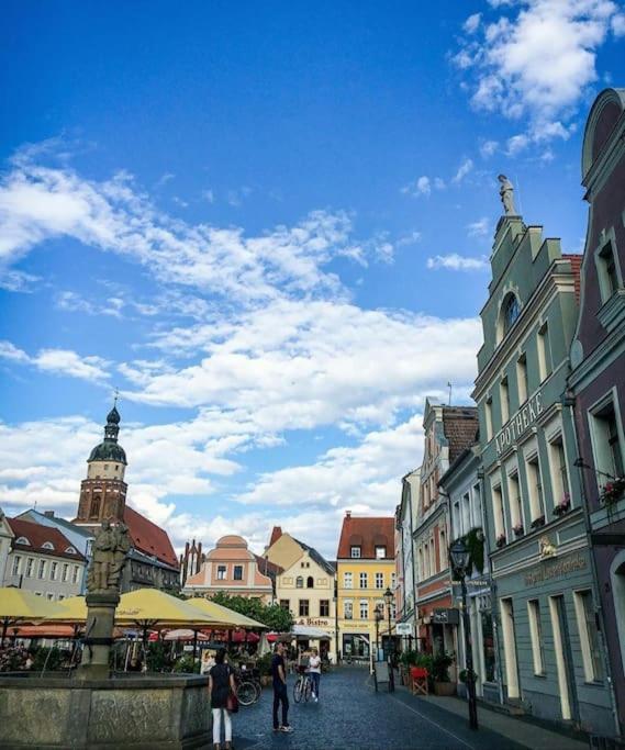 City Appartement Mit Garten, Zentral Und Trotzdem Ruhig Cottbus Esterno foto