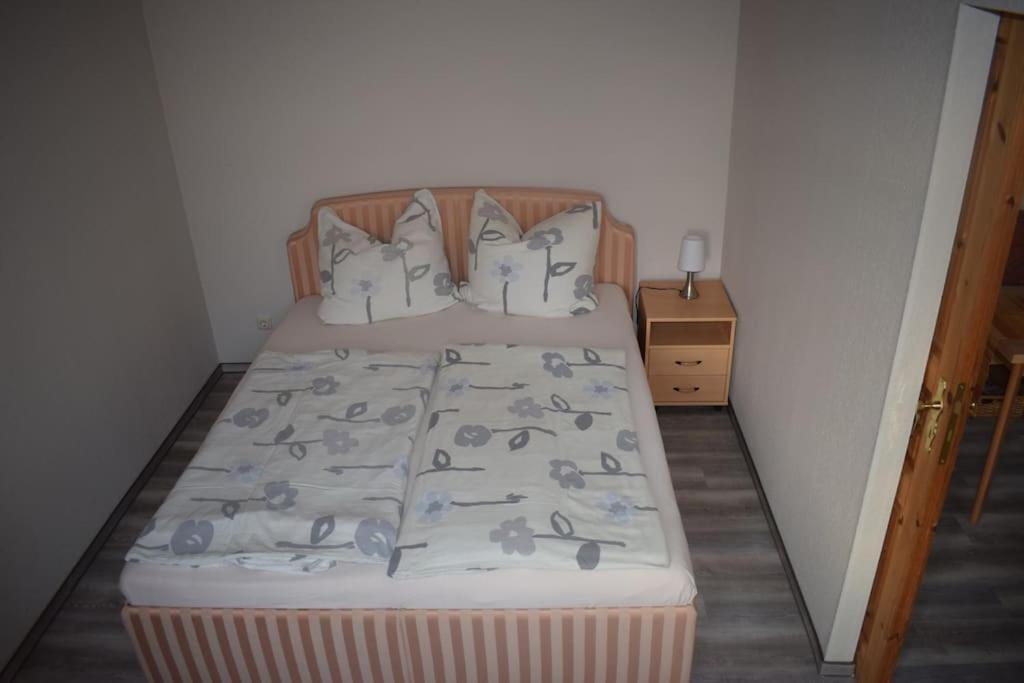 City Appartement Mit Garten, Zentral Und Trotzdem Ruhig Cottbus Esterno foto