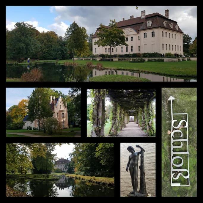 City Appartement Mit Garten, Zentral Und Trotzdem Ruhig Cottbus Esterno foto