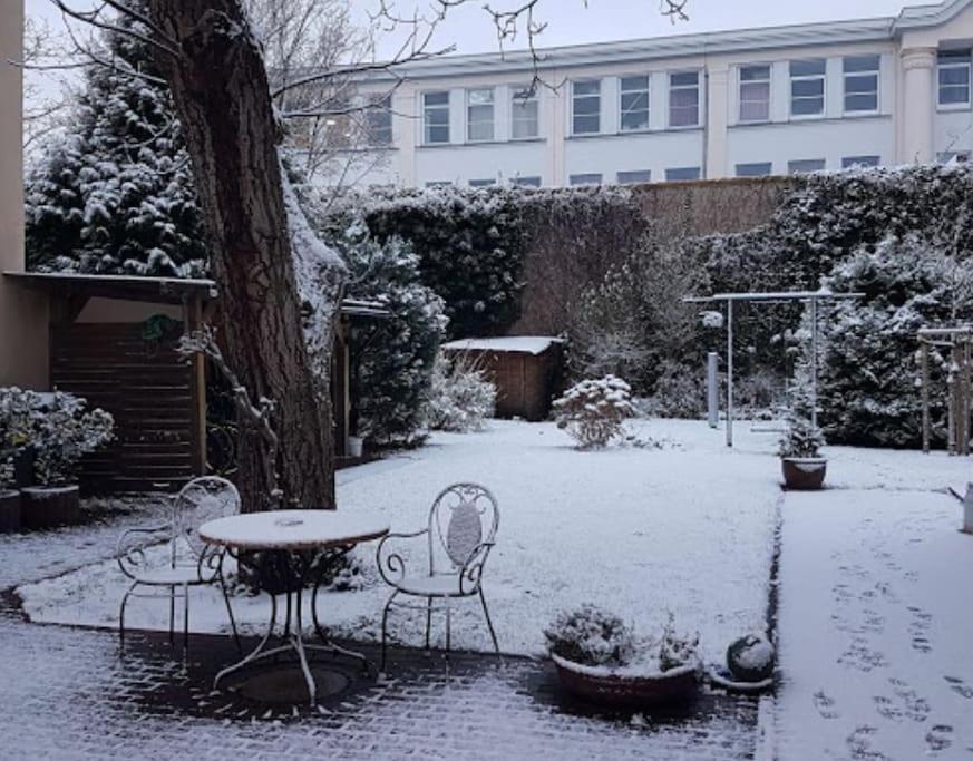 City Appartement Mit Garten, Zentral Und Trotzdem Ruhig Cottbus Esterno foto