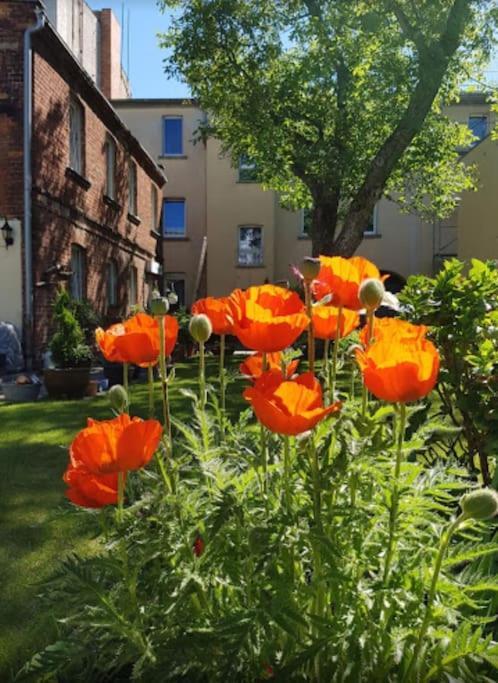 City Appartement Mit Garten, Zentral Und Trotzdem Ruhig Cottbus Esterno foto