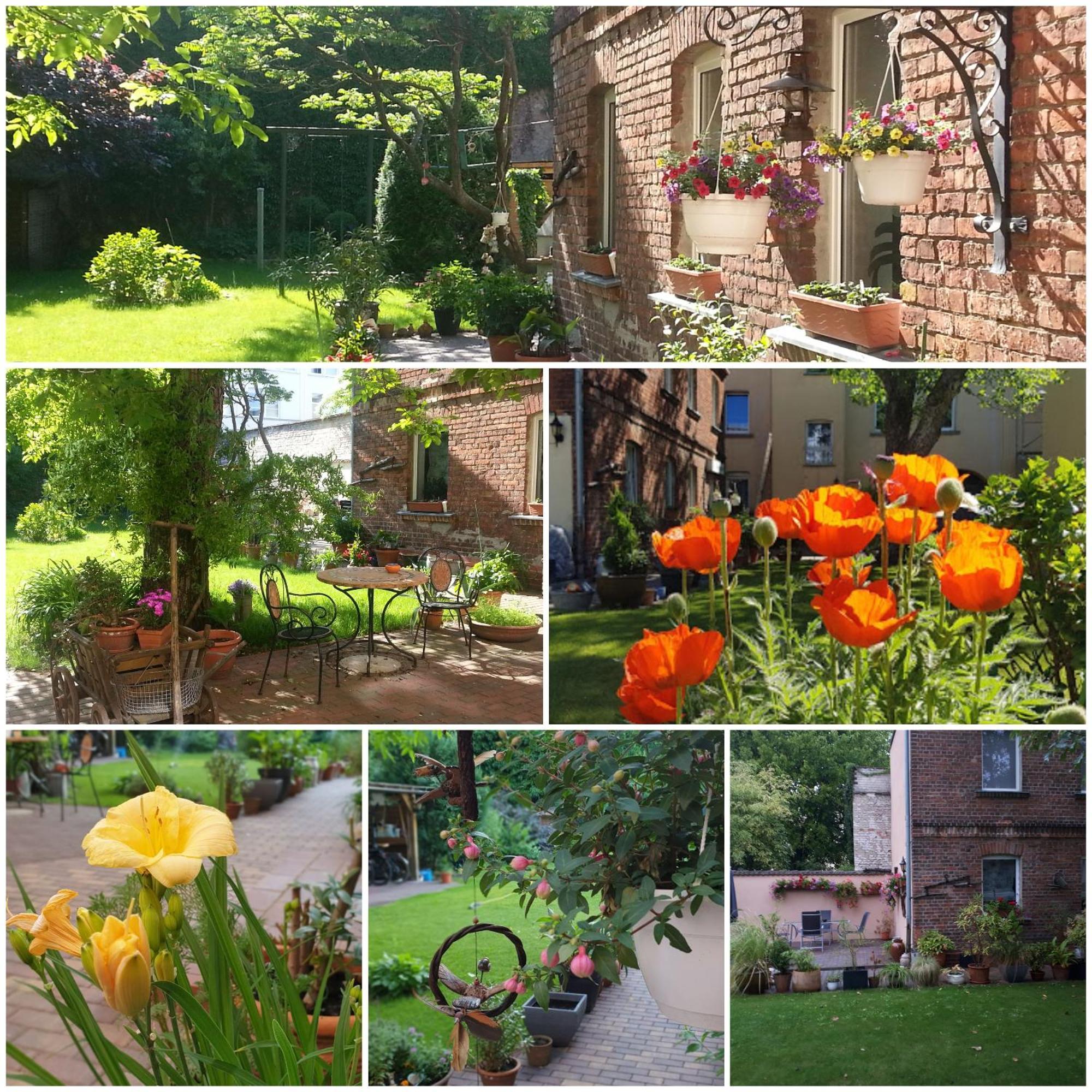 City Appartement Mit Garten, Zentral Und Trotzdem Ruhig Cottbus Esterno foto